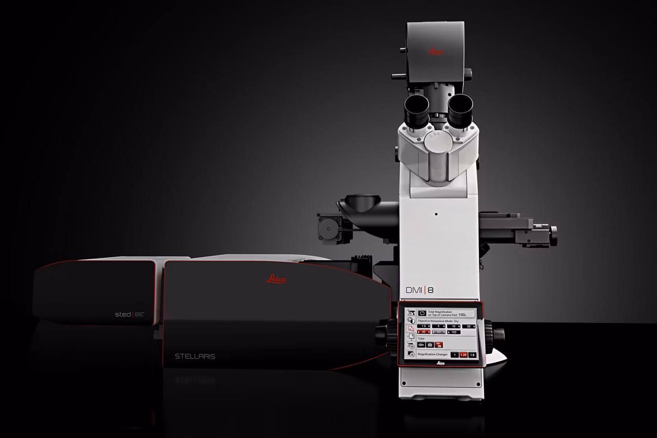 Stellaris STED Confocal List Kid21775038