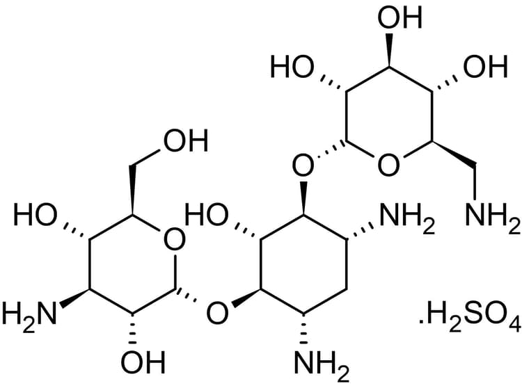 Kanamycin sulfate (aqueous), aminoglycoside antibiotic agent(AB146574)
