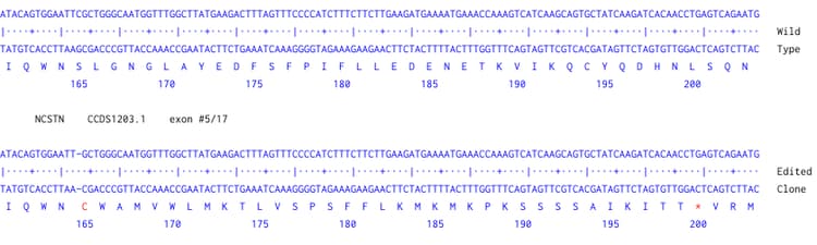 Human Ncstn Nicastrin Knockout Hela Cell Line Ab273849  Next Generation Sequencing Img426280