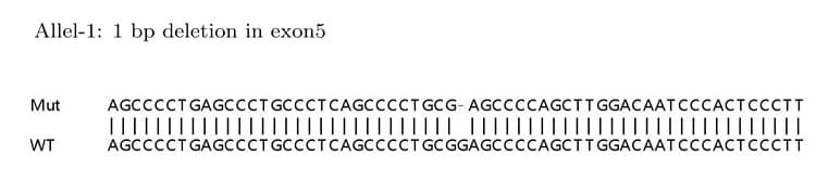 Ab263784  Sanger Sequencing Img411631