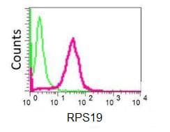 Rps19 Antibody Epr10422 Bsa And Azide Free Ab249237  Flow Cytometry Intracellular Img78319