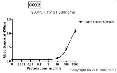 Anti-COX2 / Cyclooxygenase 2 antibody(AB15191)