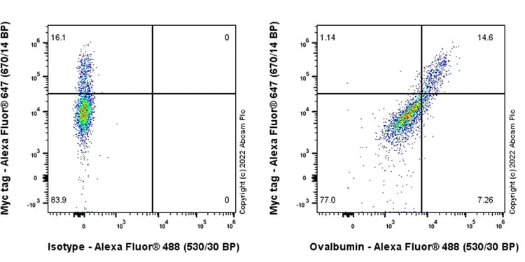 Anti-Ovalbumin antibody [EPR27117-90](AB306591)