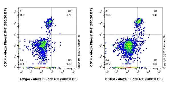 Anti-CD163 antibody [EPR19518] - BSA and Azide free(AB213612)