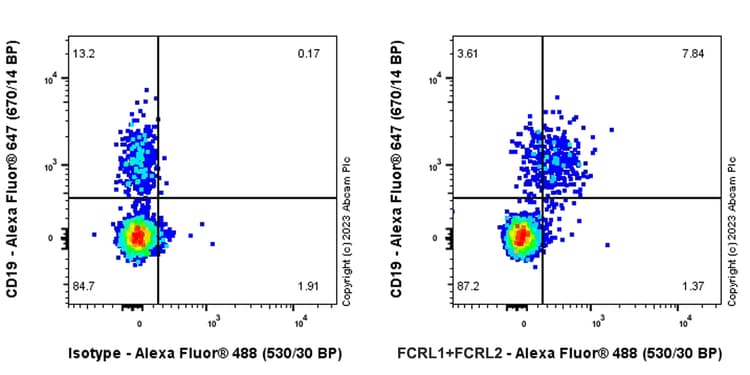 Anti-FCRL1+FCRL2 antibody [EPR26947-62](AB308064)