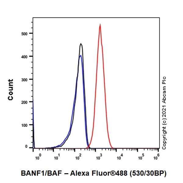 Anti-BANF1/BAF antibody [EPR7669] - BSA and Azide free(AB248281)