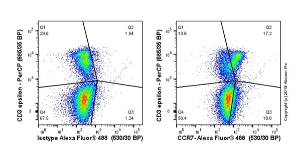 Anti-CCR7 antibody [4B12](ab52602)