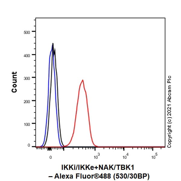 Anti-IKKi/IKKe+NAK/TBK1 antibody [EPR25258-15](AB289973)
