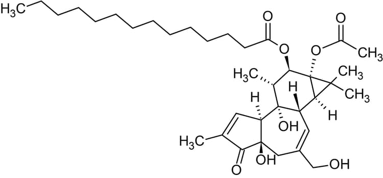 Phorbol 12-myristate 13-acetate (PMA), PKC activator(AB120297)