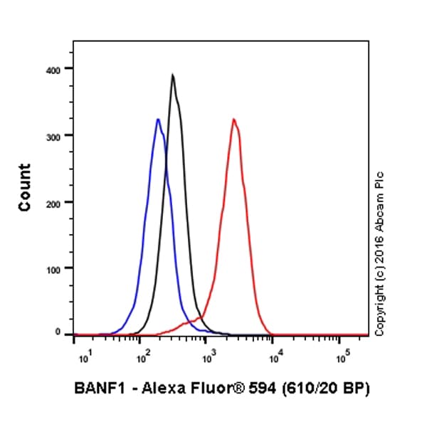 Alexa Fluor® 594 Anti-BANF1/BAF antibody [EPR7668](AB208532)