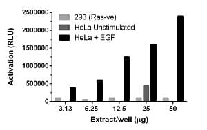 Ras GTPase ELISA Kit (Chemiluminescent)(AB134640)