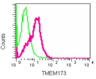 Anti-STING antibody [EPR13130] - BSA and Azide free(AB227128)
