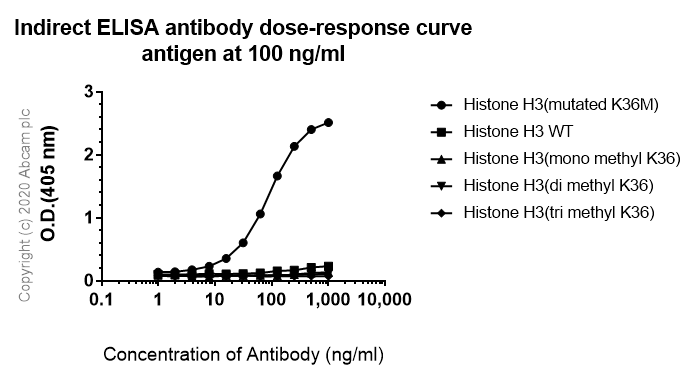 Anti-Histone H3 (mutated K36M) antibody [EPR23614-91] - BSA and Azide free(AB270796)