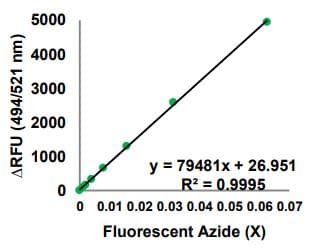 Global Protein Synthesis Assay Kit(AB273286)