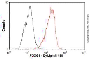 Anti-FOXG1 antibody [mabcam 51774](ab51774)