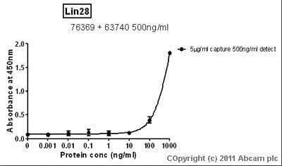 Anti-Lin28A antibody [6D1F9](AB76369)