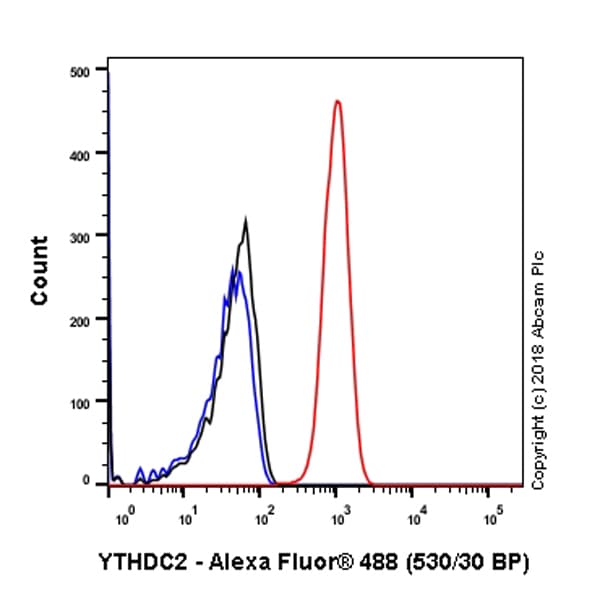 Ythdc2 Antibody Epr21820 49 Bsa And Azide Free Ab259277  Flow Cytometry Intracellular Img68314