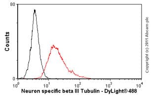 Anti-beta III Tubulin antibody [TU-20] - Neuronal Marker(ab7751)