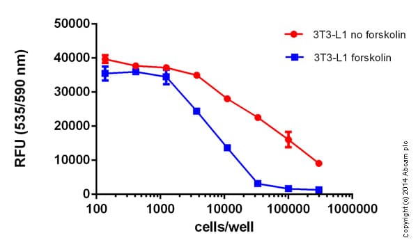 cAMP Assay Kit (Competitive ELISA, Fluorometric)(AB138880)