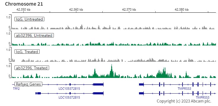 Estrogen Receptor Alpha Phospho S118 Antibody E91 Ab32396  Chic Cut Run Sequencing Img424409