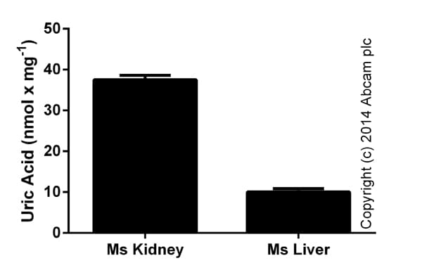 Uric Acid Assay Kit(AB65344)