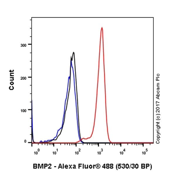 Anti-BMP2 antibody [EPR20807] - BSA and Azide free(AB225898)