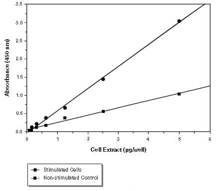 NFkB p65 Transcription Factor Assay Kit(AB133112)