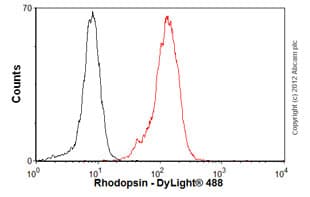 Rhodopsin Antibody Rho 4d2 Ab98887  Flow Cytometry Img35303