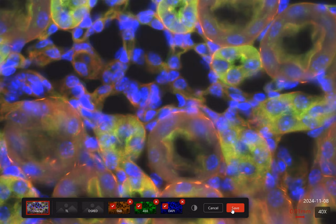Enersight Multi Channel Fluorescence Kid21763618