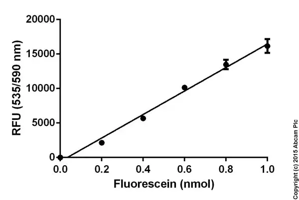 Triglyceride Assay Kit - Quantification(AB65336)