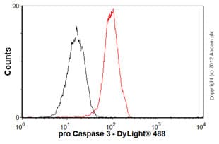 Anti-pro Caspase-3 antibody [E83-103](AB32499)