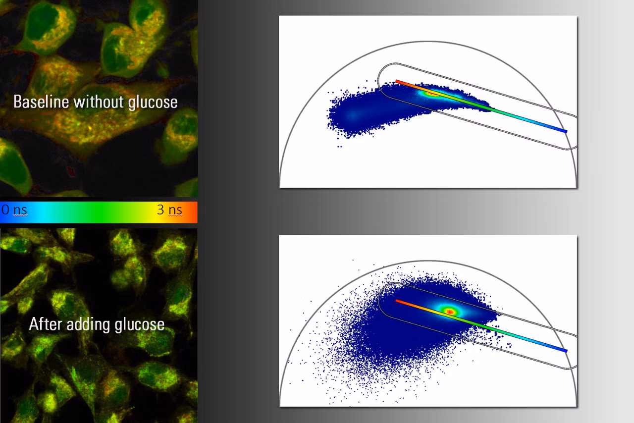Combining Multiphoton Img Kid21756467