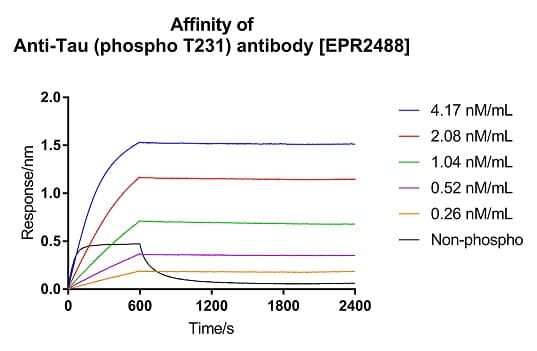 Anti-Tau (phospho T231) antibody [EPR2488] - BSA and Azide free(AB156624)