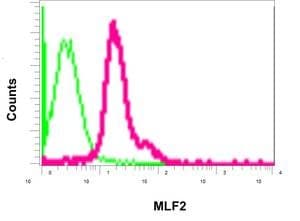Anti-MLF2 antibody [EPR10245(2)] - C-terminal(AB180184)