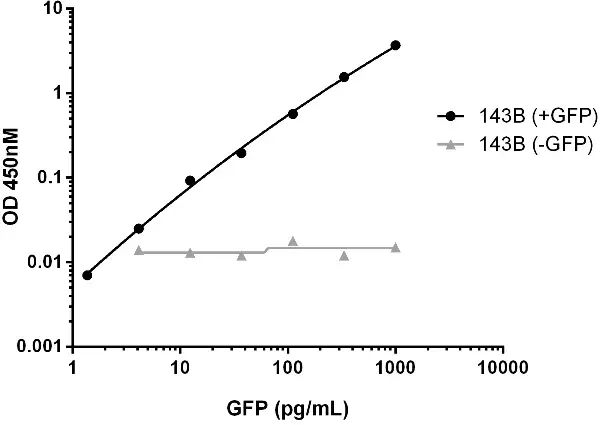 GFP ELISA Kit(AB171581)