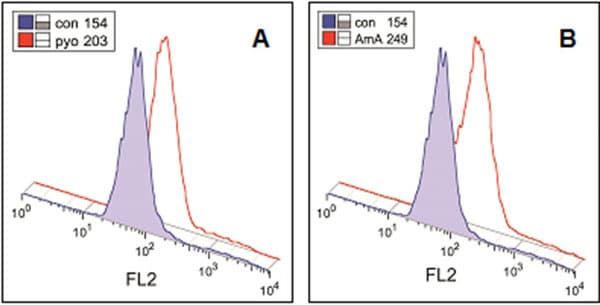 Cellular Superoxide Detection Assay Kit(AB139477)