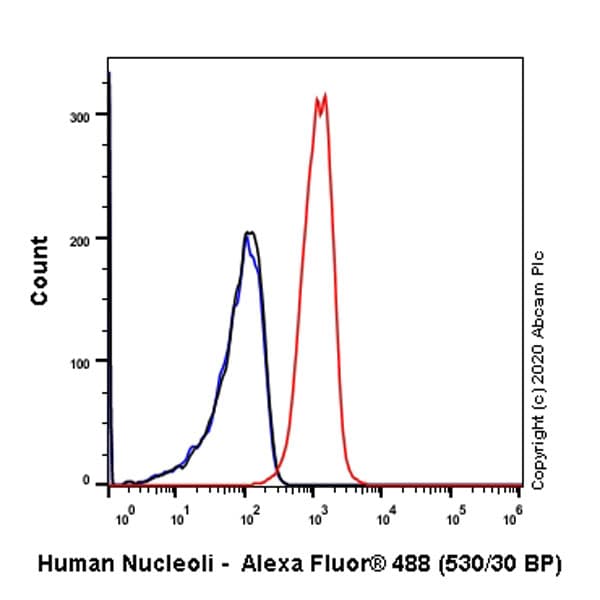Anti-Human Nucleoli antibody [NM95] - Nucleolar Marker(AB190710)