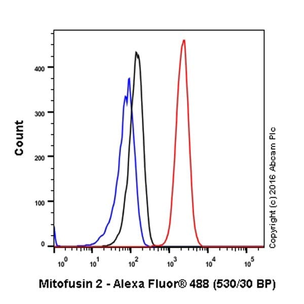 Anti-Mitofusin 2 antibody [EPR19796] - BSA and Azide free(AB251422)