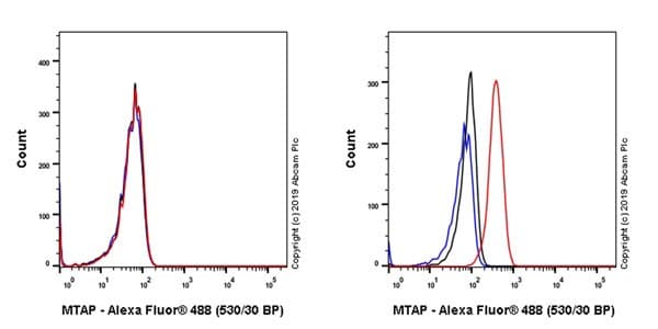 Anti-MTAP antibody [EPR22570-76](ab254265)