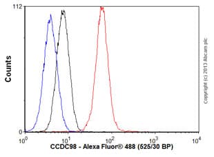 Anti-CCDC98 antibody [EPR6310(2)] - BSA and Azide free(AB248872)