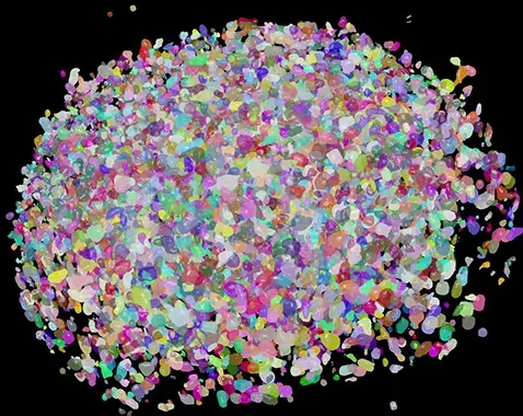 IN Carta Image Analysis Software