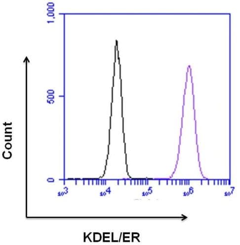 Kdel Antibody Ab2898  Flow Cytometry Img39119
