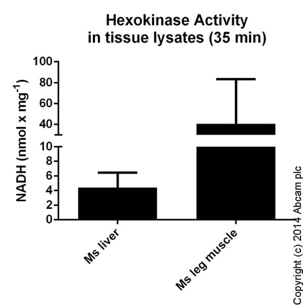 Hexokinase Activity Assay Kit (Colorimetric)(AB136957)