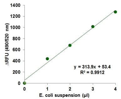 Phagocytosis Assay Kit (Green E.coli)(AB235900)