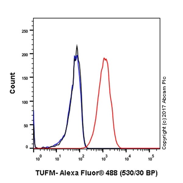 Anti-TUFM antibody [EPR12796(B)](AB175199)