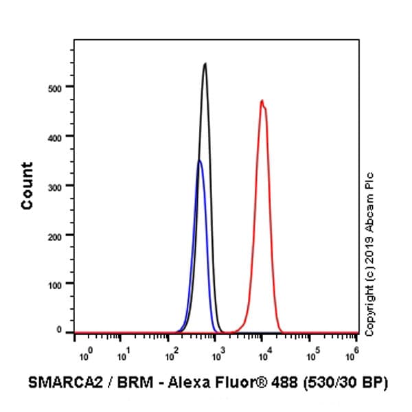 Anti-SMARCA2 / BRM antibody [EPR23103-44] - BSA and Azide free(AB269872)