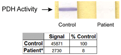 Pyruvate dehydrogenase (PDH) Enzyme Activity Dipstick Assay Kit(AB109882)