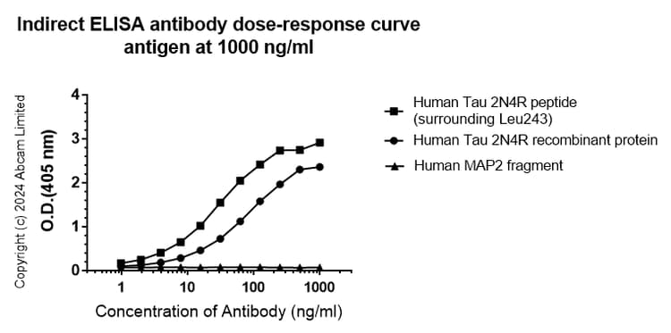 Anti-Tau (MTBR-tau243) antibody [EPR29541-59](AB322554)