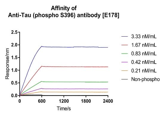 Anti-Tau (phospho S396) antibody [E178](ab32057)