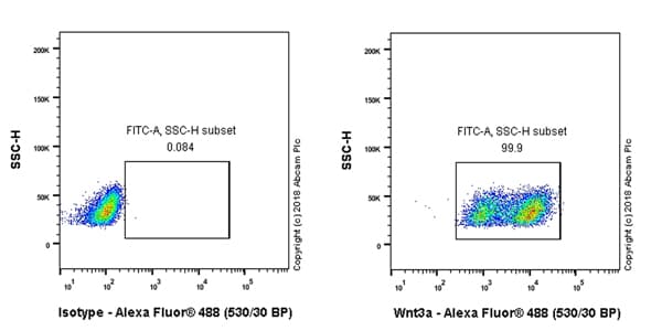 Anti-Wnt3a antibody [EPR21889] - BSA and Azide free(AB234099)